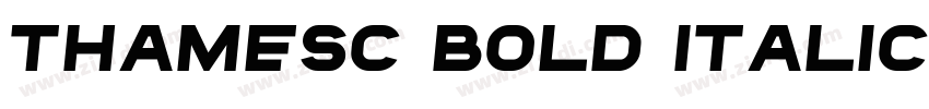 ThamesC Bold Italic字体转换
